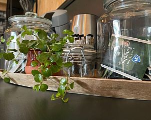 Koffie- en theefaciliteiten in Vakantiehuis in 't Harde, Veluwe, ideaal voor een ontspannen verblijf.