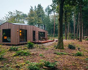 Moderne vakantieaccommodatie in 't Harde, Veluwe, omringd door bossen.