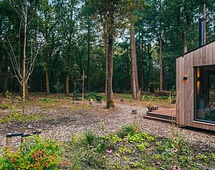 Natuurrijke omgeving van Vakantiehuis in 't Harde, Veluwe, Gelderland.