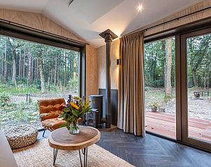 Uitzicht op de Veluwse bossen vanuit de woonkamer van Vakantiehuis in 't Harde.