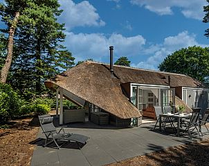 Exterior view of Holiday home Sprielderbosch 14 't Sprielderhof surrounded by Veluwe nature.