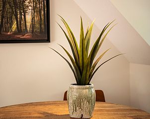 Detail of a plant in the living room of Holiday home Sprielderbosch 14 't Sprielderhof, Veluwe.