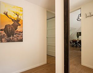 Hallway with mirror and art in Holiday home Sprielderbosch 14 't Sprielderhof, Veluwe.