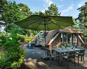 Genieen Sie die groe Veranda des Ferienhauses Sprielderbosch 45 'Skogen' in Putten, Veluwe, Gelderland.