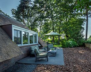 Entspannen Sie sich auf der Terrasse des Ferienhauses Sprielderbosch 45 'Skogen' an der Veluwe in Gelderland.