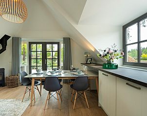 Detail der Kche im Ferienhaus Sprielderbosch 45 'Skogen' in Putten, Veluwe, Gelderland.