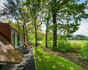 Unterkunft 3220103 - Ferienhaus Veluwe - Vakantiewoning Sprielderbosch 12 "De Kuifmees" op de Veluwe
