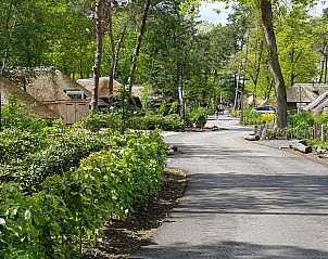 Unterkunft 3220103 - Ferienhaus Veluwe - Vakantiewoning Sprielderbosch 12 "De Kuifmees" op de Veluwe