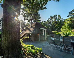 Terrace with large dining table at Holiday home Sprielderbosch 28 'Berkenhoek' in the Veluwe.