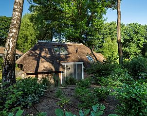 Guest house 3220104 - Holiday property Veluwe - Vakantiewoning Sprielderbosch 28 