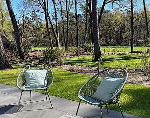 Terrace at Holiday home Sprielderbosch 26 De Beuk in Putten, Veluwe, overlooking the forest.