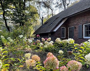 Flower garden in front of Holiday home Sprielderbosch 26 De Beuk in Putten, Veluwe, with colorful hydrangeas.