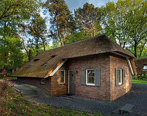 Atmospheric exterior of Holiday home Sprielderbosch 26 De Beuk in Putten, Veluwe, with thatched roof.