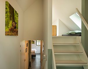 Stairs to attic in Holiday home Sprielderbosch 26 De Beuk in Putten, Veluwe, with light finish.
