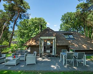 Enjoy the peace and quiet on the terrace of Vakantiewoning Sprielderbosch 25 'Meneer de Uil' in Putten, Veluwe, Gelderland.