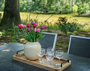 Stylish outdoor table with tulips at Vakantiewoning Sprielderbosch 25 'Meneer de Uil', located in Putten, Veluwe, Gelderland.