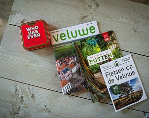 Modern TV corner in Holiday home Sprielderbosch 25 'Meneer de Uil' on the Veluwe, located in Putten, Gelderland.
