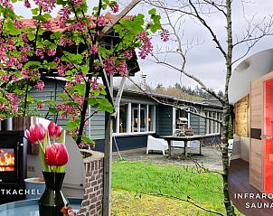 Unterkunft 3220123 - Ferienhaus Veluwe - Vakantiehuis in Putten