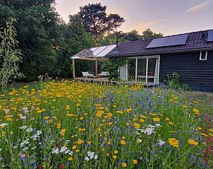 Unterkunft 3220139 - Ferienhaus Veluwe - Vakantiehuis in Putten