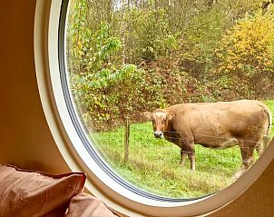 Unterkunft 3220139 - Ferienhaus Veluwe - Vakantiehuis in Putten