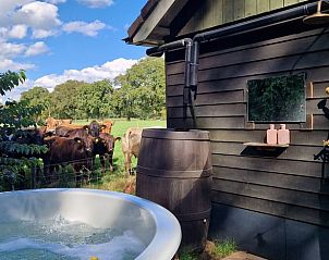 Unterkunft 3220139 - Ferienhaus Veluwe - Vakantiehuis in Putten