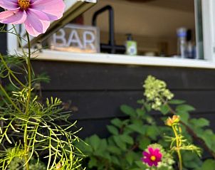 Unterkunft 3220139 - Ferienhaus Veluwe - Vakantiehuis in Putten