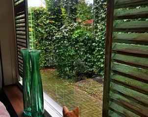 Verblijf 3220150 - Bungalow Veluwe - El Granero