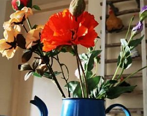 Verblijf 3220150 - Bungalow Veluwe - El Granero