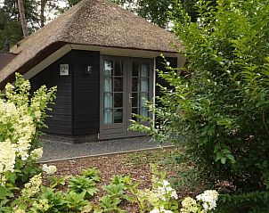Verblijf 3220158 • Vakantiewoning Veluwe • Vakantiehuis in Putten 