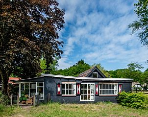 Guest house 322019 • Holiday property Veluwe • Chalet Reewold 17 