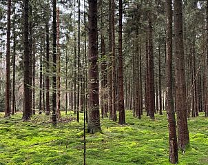 Guest house 3220225 - Holiday property Veluwe - Huisje in Putten