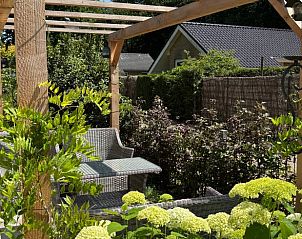 Guest house 3220225 - Holiday property Veluwe - Huisje in Putten