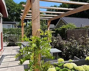 Guest house 3220225 - Holiday property Veluwe - Huisje in Putten