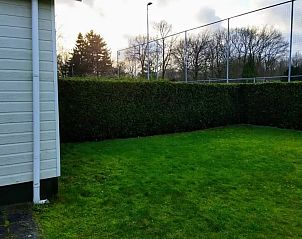 Guest house 3220229 - Chalet Veluwe - Chalet Putten