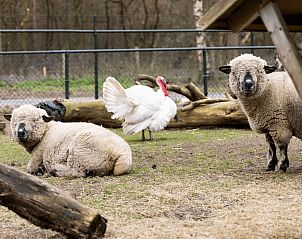 Unterkunft 3220236 - Ferienhaus Veluwe - Vrijstaande woning in Putten