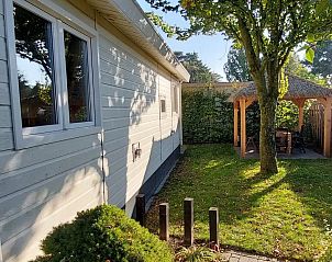Guest house 3220251 - Chalet Veluwe - Chalet Abija