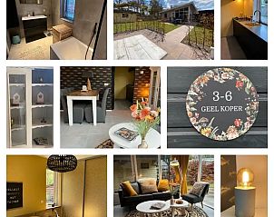 Guest house 3220256 - Holiday property Veluwe - Vakantiehuis 'Geel Koper' Veluwe!