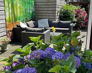 Guest house 3220260 - Holiday property Veluwe - Chalet met tuin incl fietsen Veluwe