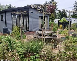 Verblijf 3220261 - Chalet Veluwe - Driest's Bungalow