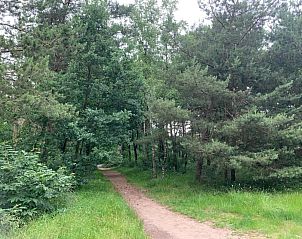 Verblijf 3220263 - Vakantiewoning Veluwe - De Veluwse Hoevegaerde 2