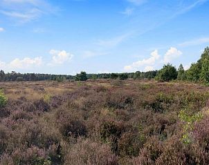 Verblijf 3220263 - Vakantiewoning Veluwe - De Veluwse Hoevegaerde 2