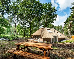 Unterkunft 322039 - Ferienhaus Veluwe - Vakantiewoning Sprielderbosch 32 "De bostuin" op de Veluwe