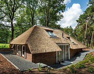 Unterkunft 322039 - Ferienhaus Veluwe - Vakantiewoning Sprielderbosch 32 "De bostuin" op de Veluwe