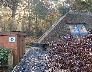 Unterkunft 322039 - Ferienhaus Veluwe - Vakantiewoning Sprielderbosch 32 "De bostuin" op de Veluwe