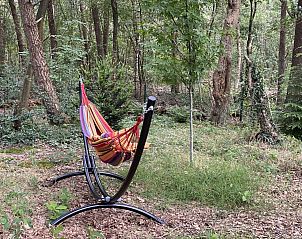 Unterkunft 322039 - Ferienhaus Veluwe - Vakantiewoning Sprielderbosch 32 "De bostuin" op de Veluwe