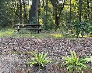 Unterkunft 322039 - Ferienhaus Veluwe - Vakantiewoning Sprielderbosch 32 "De bostuin" op de Veluwe