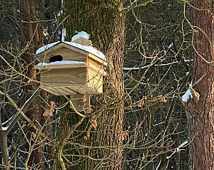 Unterkunft 322039 - Ferienhaus Veluwe - Vakantiewoning Sprielderbosch 32 "De bostuin" op de Veluwe
