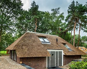 Unterkunft 322041 • Ferienhaus Veluwe • Vakantiewoning Sprielderbosch 24 "Rijckholt" op de Veluwe 