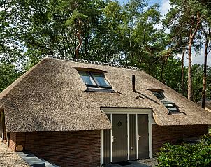 Charming vacation home Sprielderbosch 24 'Rijckholt' in the Veluwe with thatched roof and surrounded by woodland.