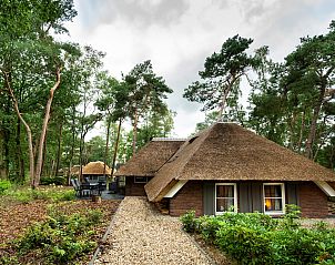 Cozy vacation home Sprielderbosch 24 'Rijckholt' in Putten, Veluwe with terrace and green nature.